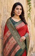 Enchanting soft Dola silk saree